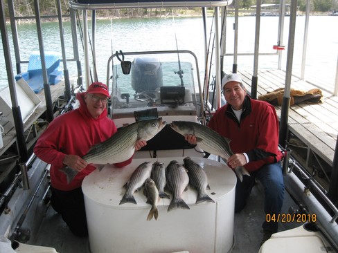 Nice Striped Bass